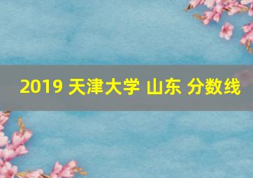 2019 天津大学 山东 分数线